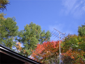 b0034422_939261.jpg