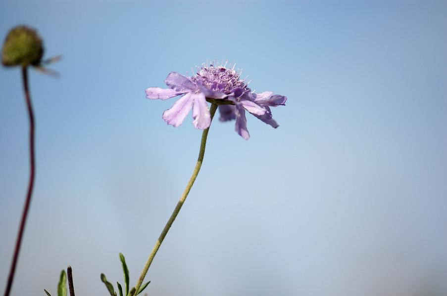 b0039226_22153659.jpg
