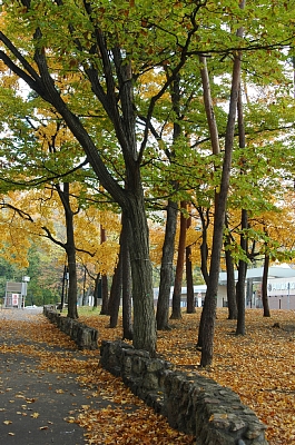 e0064128_22842.jpg