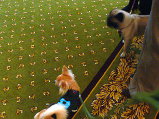c0052933_21482972.jpg