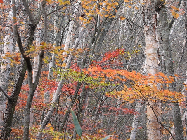 b0097836_2334154.jpg