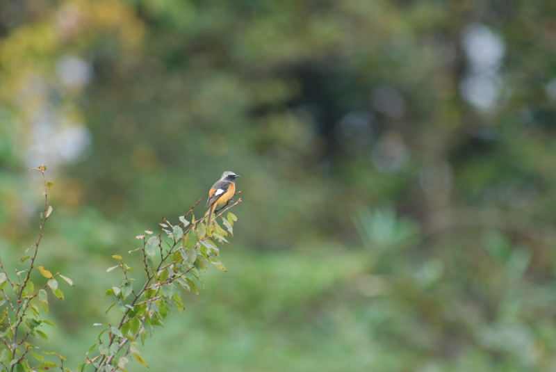b0036743_16575960.jpg