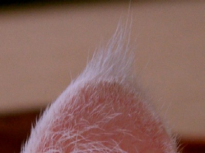 b0097145_0231620.jpg