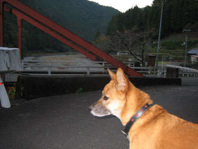 a0054948_19263414.jpg