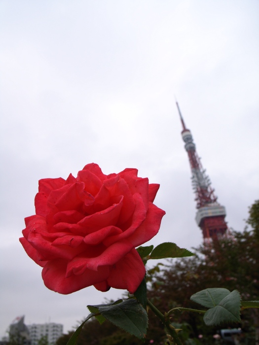 f0070556_044097.jpg