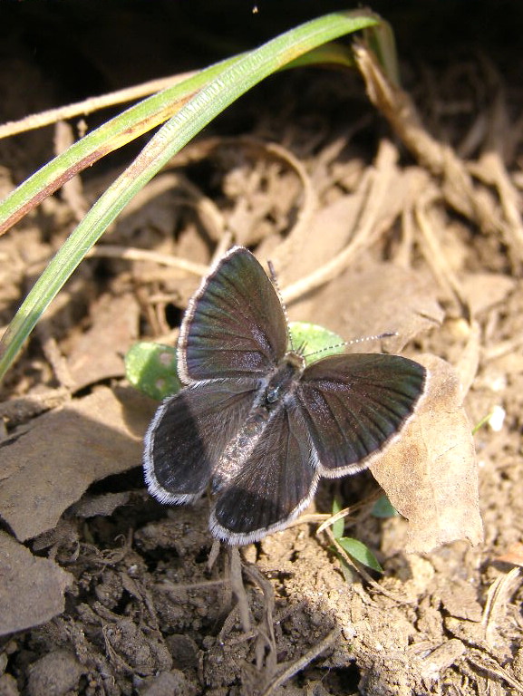 e0064158_0455833.jpg