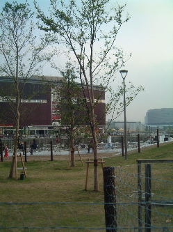 e0016164_7354393.jpg