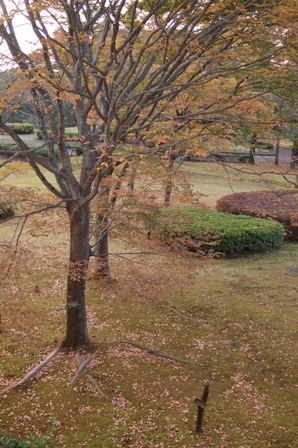 f0065768_23141682.jpg