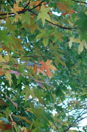 f0065768_23742100.jpg