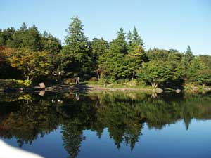 c0071870_138814.jpg