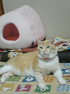 f0095271_1029444.jpg