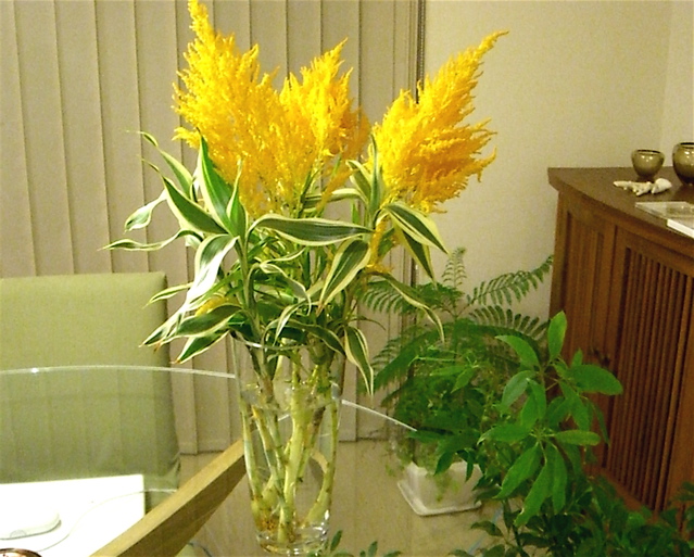 e0018777_21295091.jpg