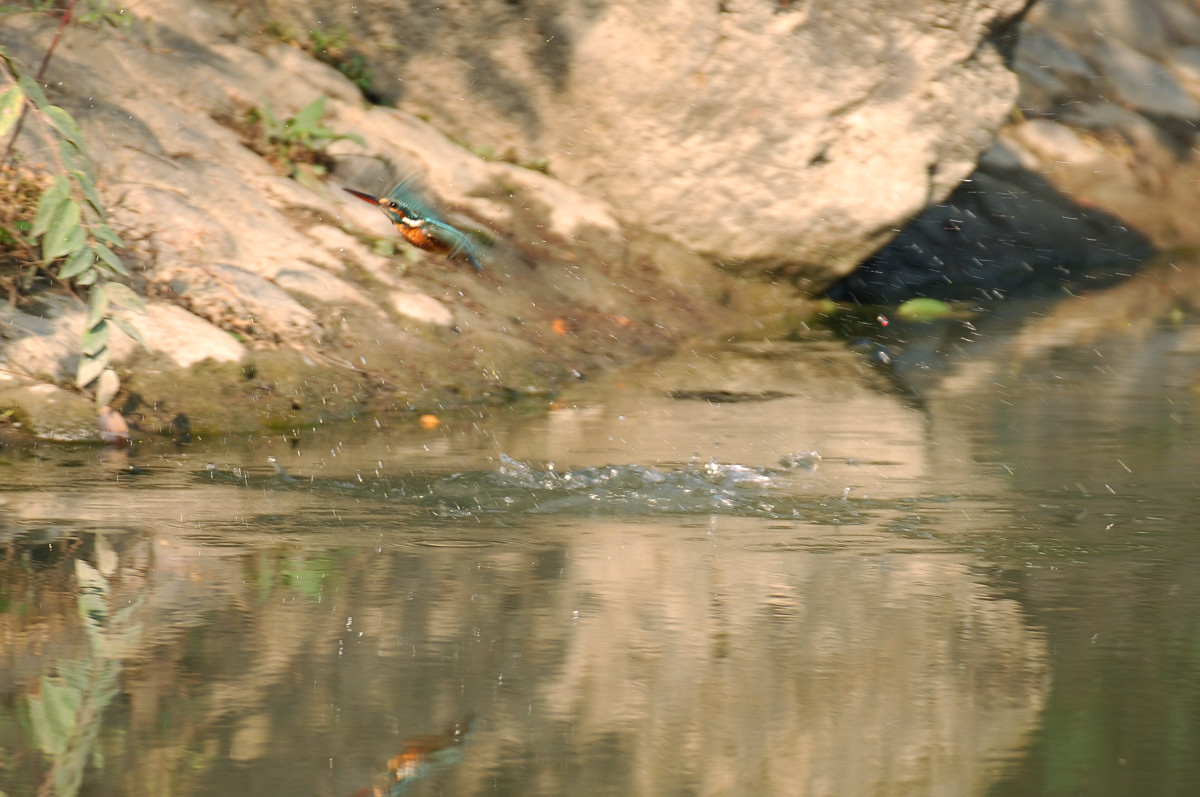 c0069178_13365576.jpg