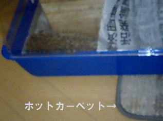 c0084379_1171046.jpg