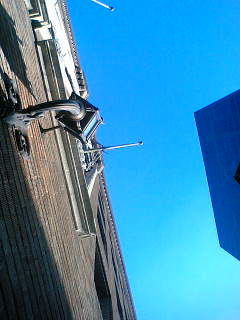 f0100480_954192.jpg