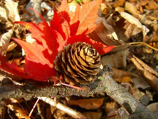 b0010882_23384021.jpg