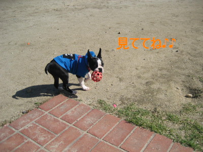 c0092787_1301368.jpg