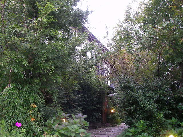 e0061902_10505427.jpg