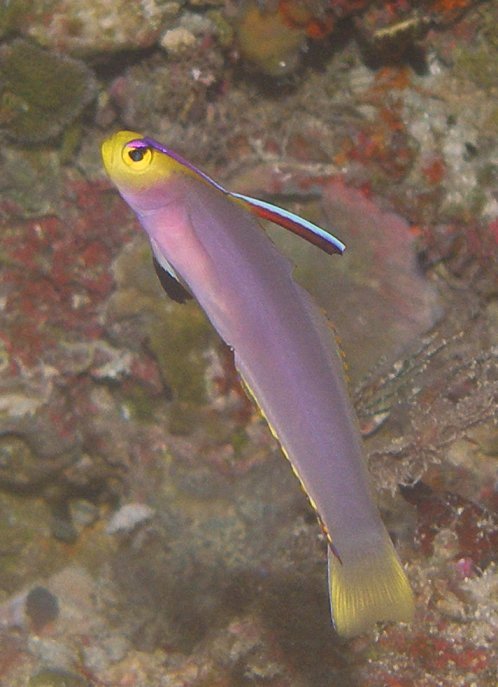 a0082706_1162176.jpg