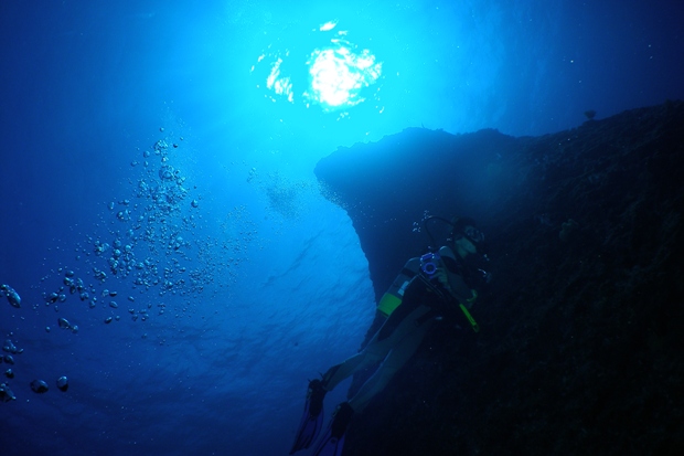 a0082706_1195887.jpg