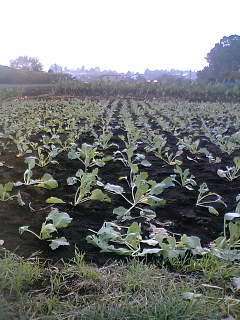 c0032006_14395682.jpg