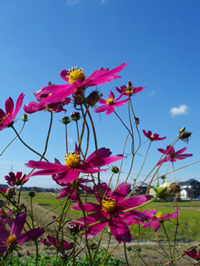 a0047618_23393110.jpg