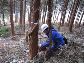 e0002820_21495136.jpg