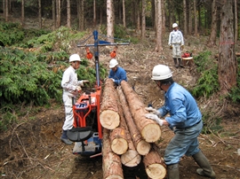 e0002820_2154332.jpg