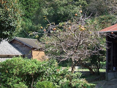 c0038334_1494595.jpg