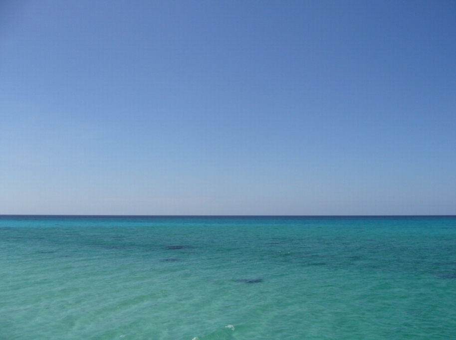 a0072337_4542090.jpg
