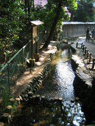 f0005043_21322851.jpg