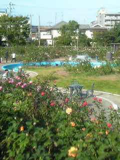 c0073649_1811352.jpg