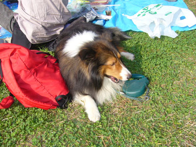 b0045357_5145469.jpg