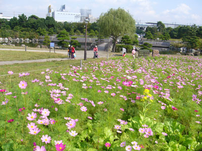 b0045357_534623.jpg