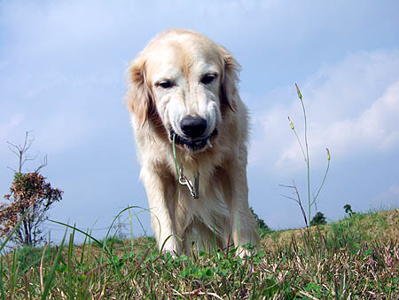 c0097558_0395756.jpg