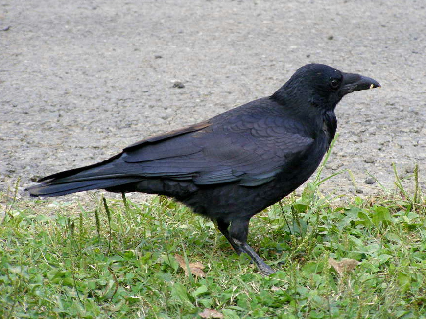e0064158_23503322.jpg