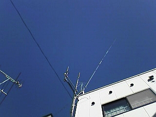 a0004359_22421679.jpg