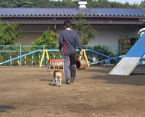 e0007060_2217964.jpg