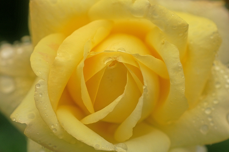 e0006964_15151578.jpg