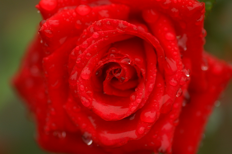 e0006964_15225892.jpg