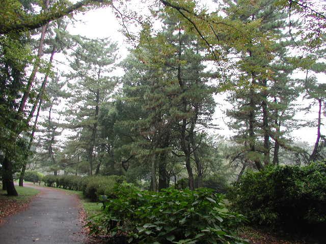 d0025669_140513.jpg