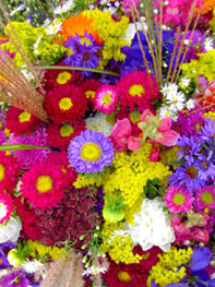f0032969_2383983.jpg