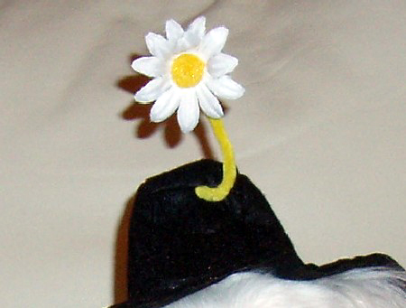 b0060071_1364717.jpg