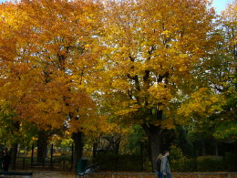 f0029271_1815661.jpg