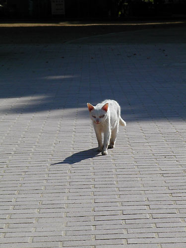 d0002472_21211528.jpg
