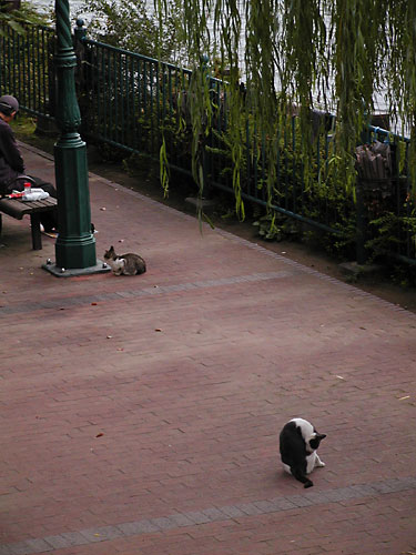 d0002472_21215871.jpg