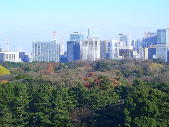 c0014779_10505475.jpg