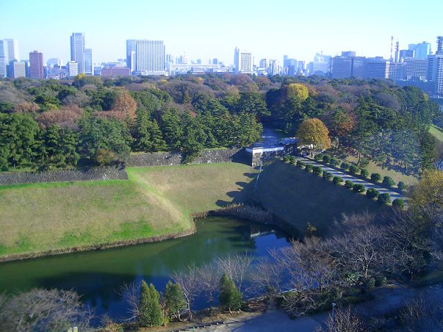 c0014779_1724982.jpg