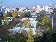 c0014779_9535637.jpg