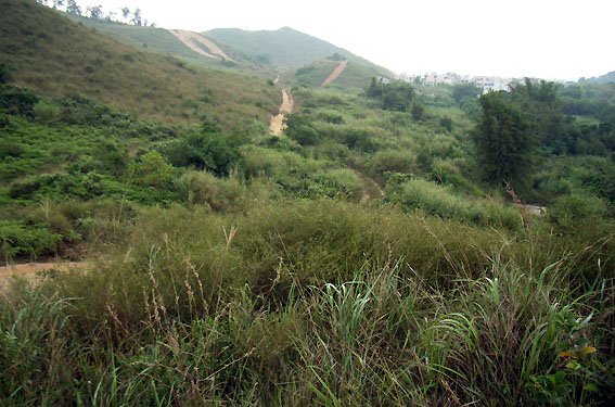 f0090680_2244681.jpg